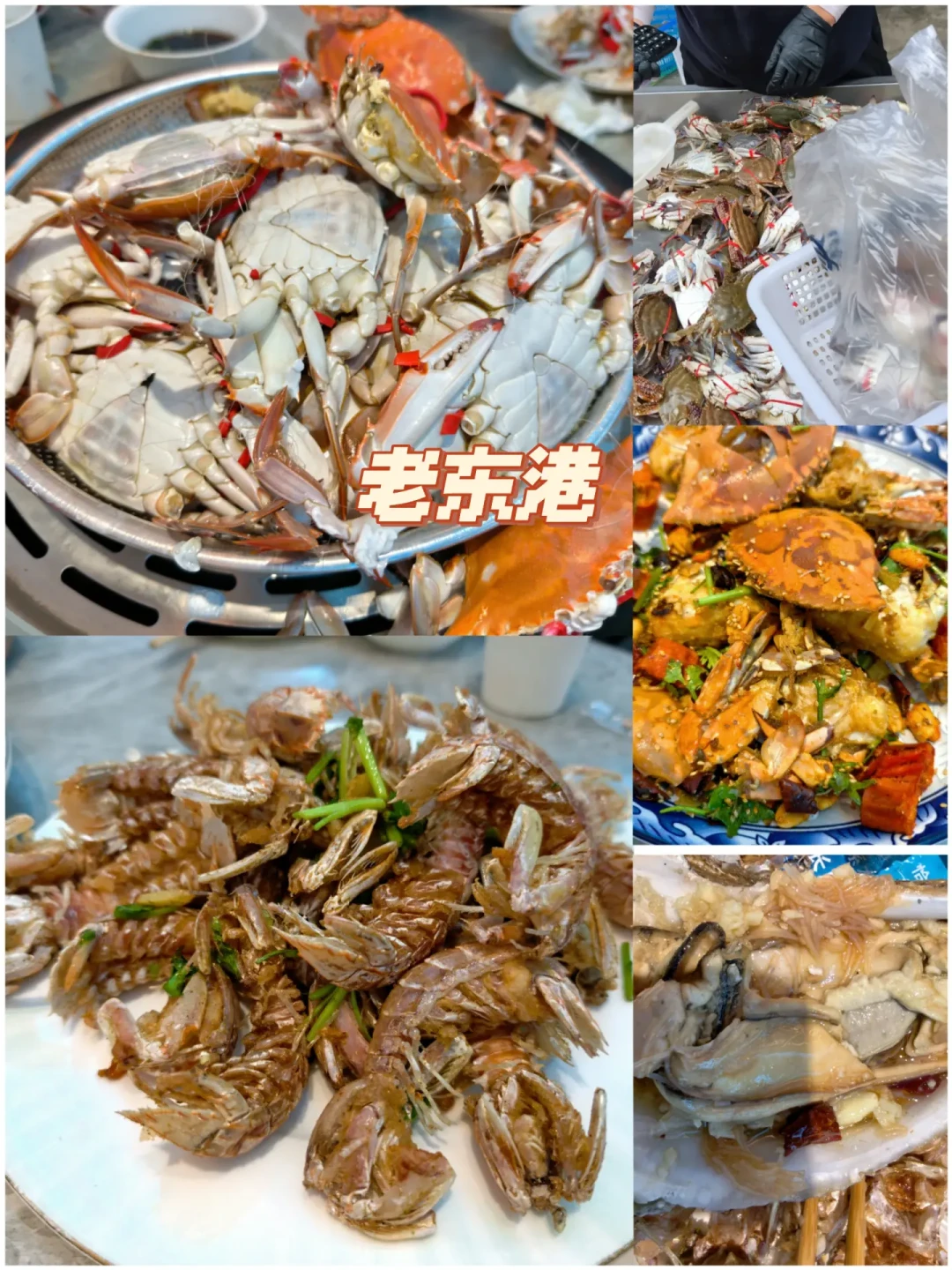 南海已开、黄渤海9月1日、东海16日:对了二十多篇真实账单和避雷帖,九月十月去海边吃海鲜,去哪座城、花多少钱、怎么不被宰都整理好了