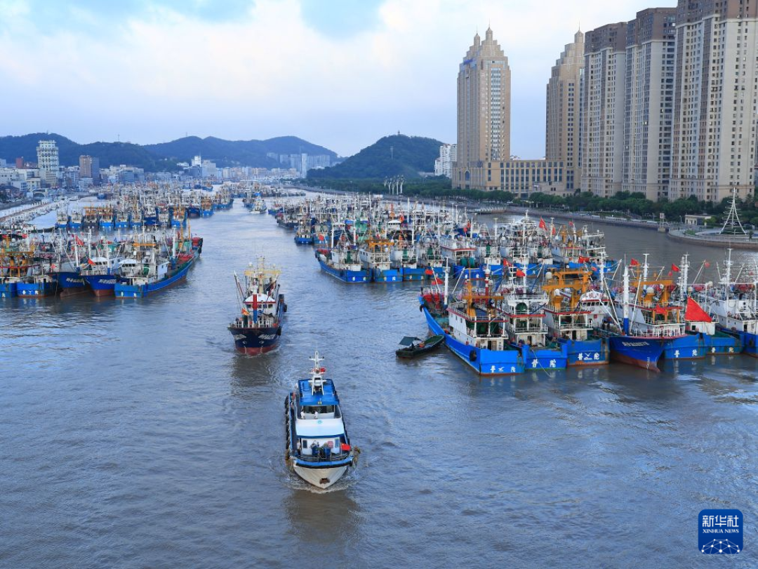 台风“沙德尔”今夜登陆,“天气预报膝”又要加班:先别急着自嘲老寒腿,对照这三条红线