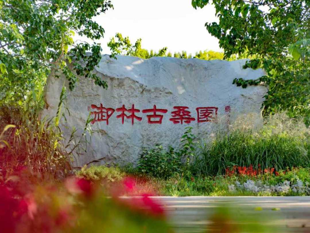 黑眼圈=肾虚,月经少=肾不好?女生在掏钱买第一盒阿胶前,先看这篇