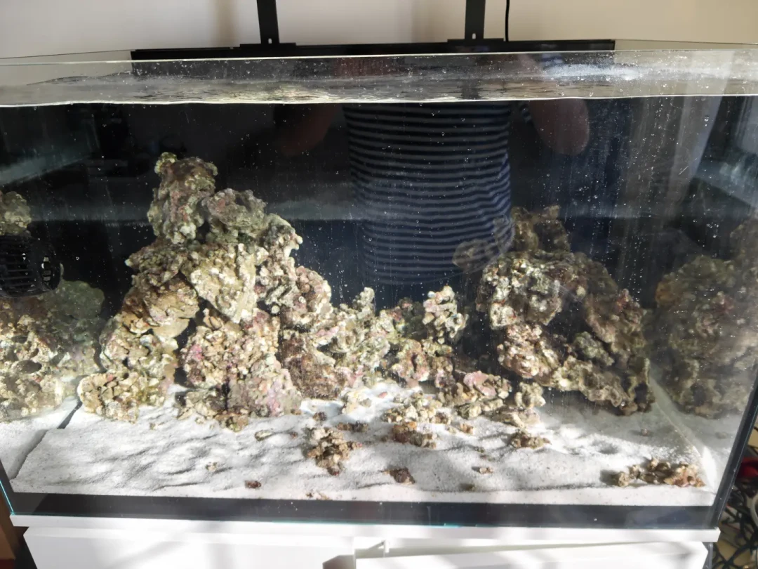 入秋前是海缸最便宜的入门窗口？我们把全网鱼友的账单扒了一遍