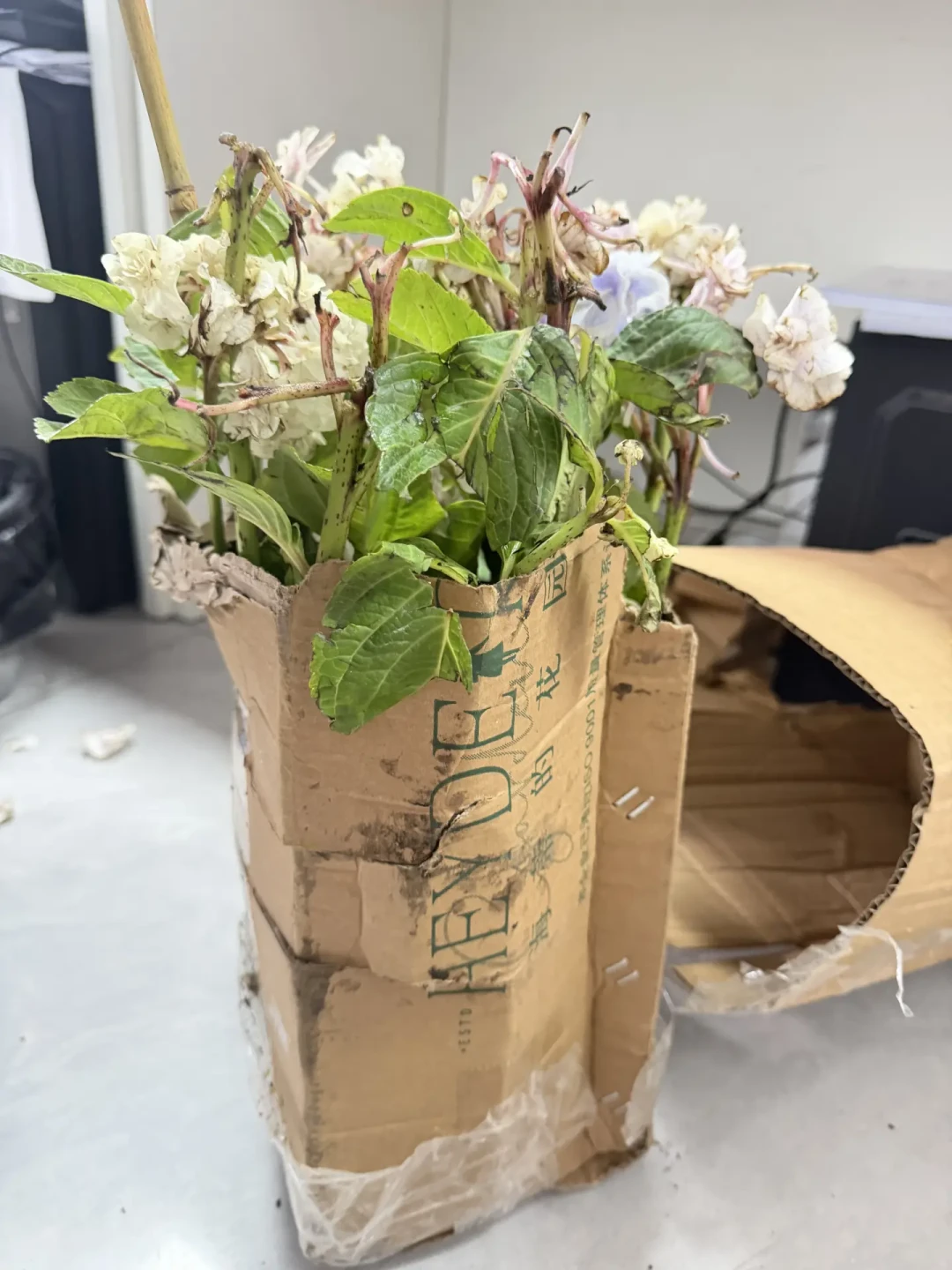 一边避雷一边等促销:海蒂的花园18周年庆快到了,9月1日什么值得冲