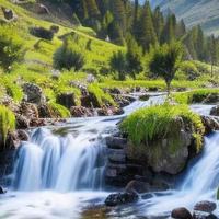 外油内干敏感头皮专属|平价植萃洗发皂控油去屑固发维稳