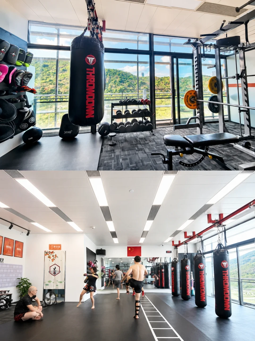想学格斗不知道学什么?拳击、泰拳、散打、巴柔、柔道按受伤风险、训练效果和预算对比,报名前看这篇