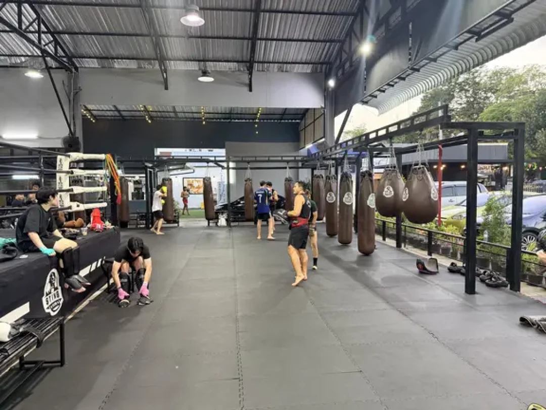 想学格斗不知道学什么?拳击、泰拳、散打、巴柔、柔道按受伤风险、训练效果和预算对比,报名前看这篇