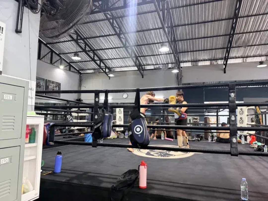 想学格斗不知道学什么?拳击、泰拳、散打、巴柔、柔道按受伤风险、训练效果和预算对比,报名前看这篇