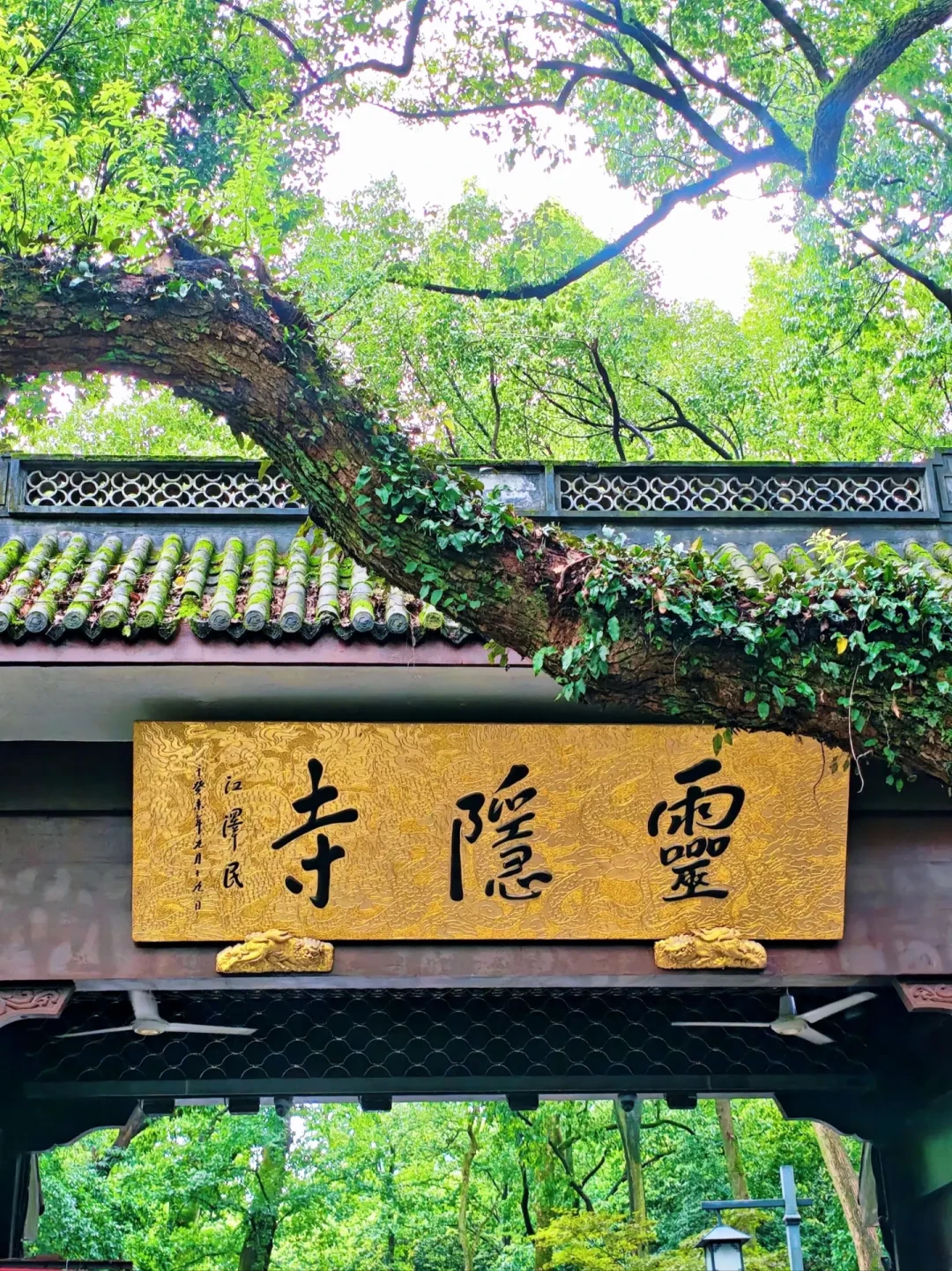 68元的香结账变952元:官方刚整治完,南岳就出了燃香新规,寺庙香的坑一次说清