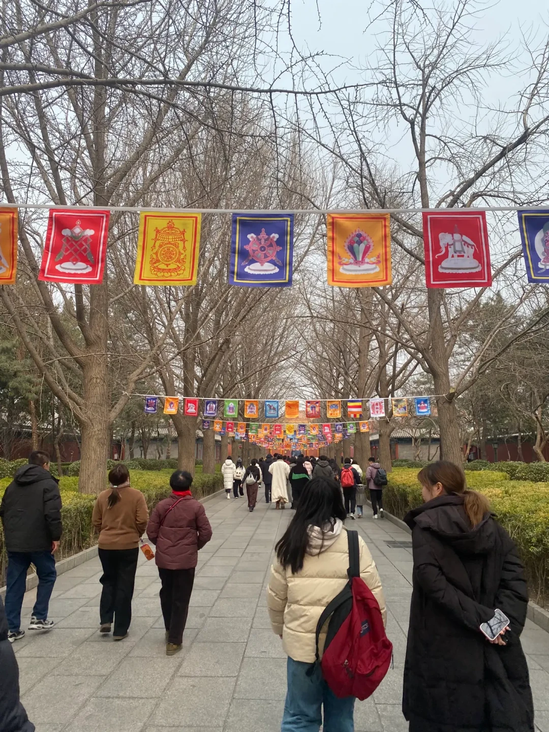 68元的香结账变952元:官方刚整治完,南岳就出了燃香新规,寺庙香的坑一次说清