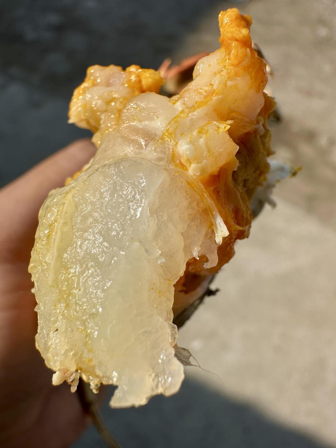 阳澄湖大闸蟹蜕完最后一次壳：真蟹九月下旬才上市，现在开卖的“阳澄湖”别急着买