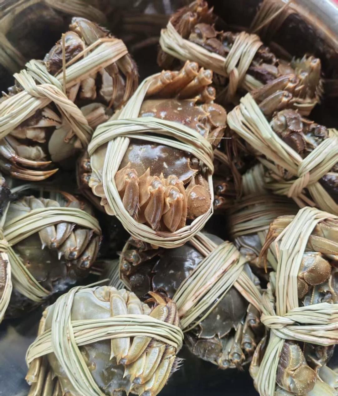 阳澄湖大闸蟹蜕完最后一次壳：真蟹九月下旬才上市，现在开卖的“阳澄湖”别急着买