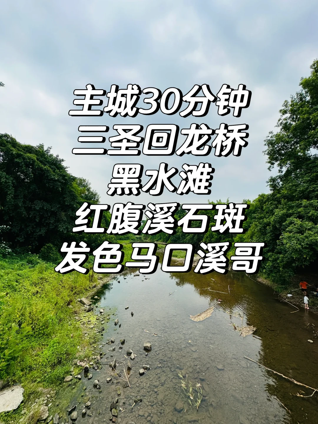 溪石斑的肉能吃，籽千万别吃：今年已有多人进急诊，高温都杀不死这种毒