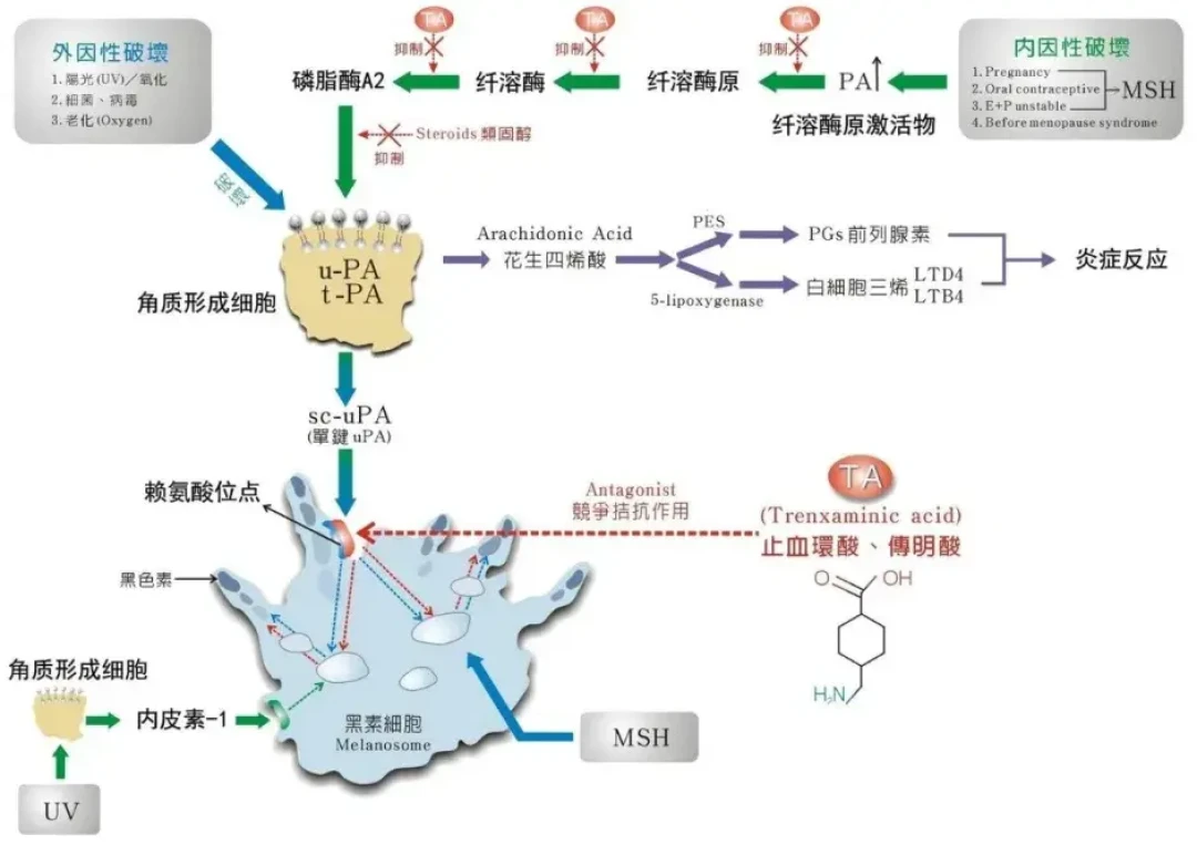 “15分钟封包淡斑”刷屏,最高赞评论却是“假的”:入秋淡斑窗口期,先把传明酸弄明白再花钱