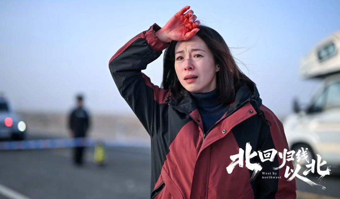 任达华新片上映62天票房仅296.5万:同一个导演、同一个江一燕,《北回归线以北》为什么没能复制《七十七天》的过亿