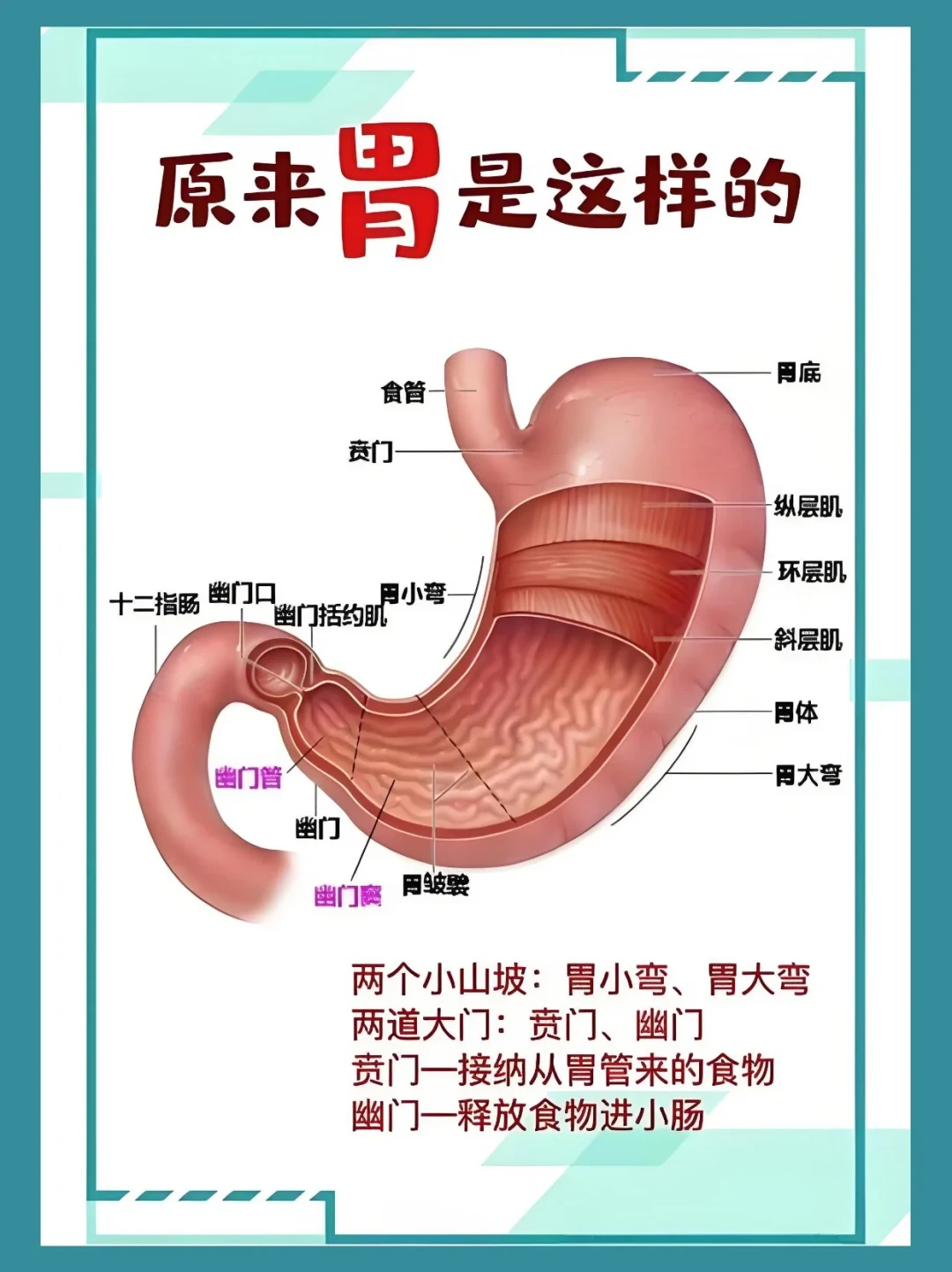布莱恩·约翰逊确诊“绝症”上热搜?对完信源:最吓人的不是病,是他拖了11年的那个数字