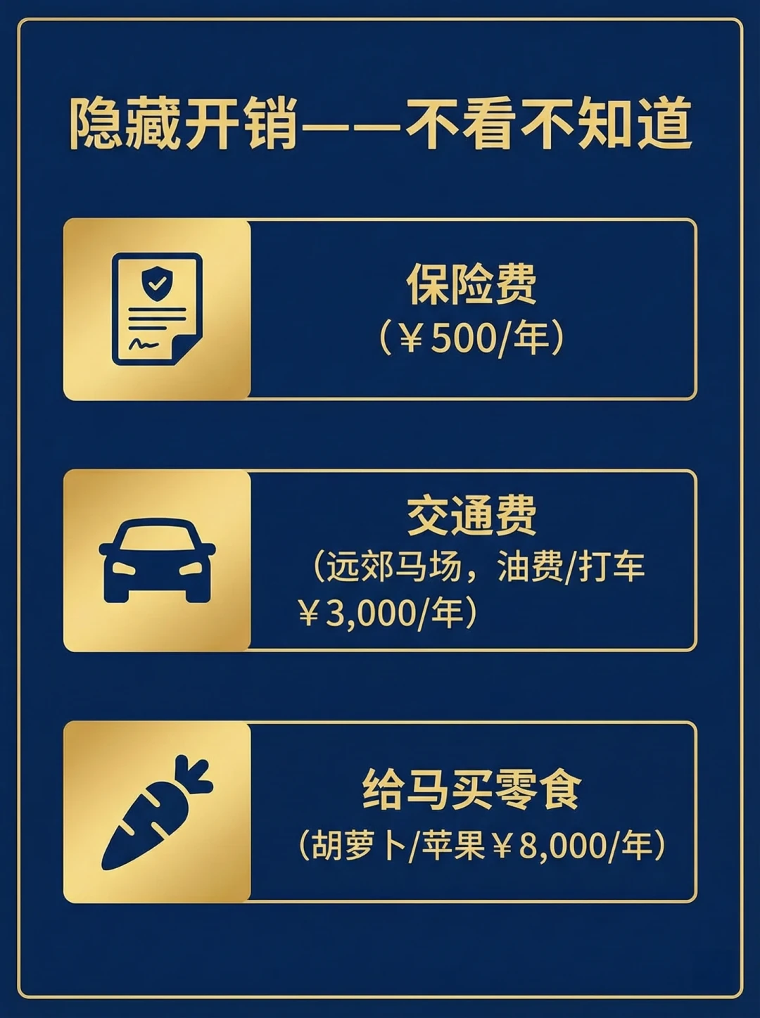 马术课报名季:有人268元抢3节,有人一节课1000元,翻了20多份真实账单才看懂第一年的花费