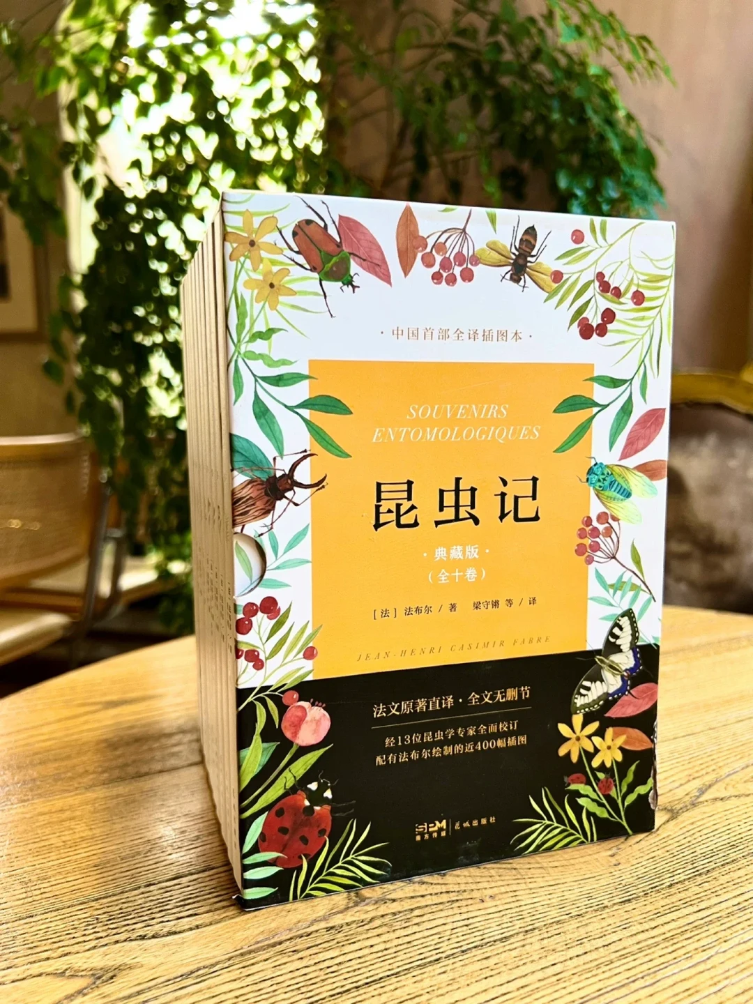 别乱下单:《昆虫记》270多个版本我全查了,真能买的就三类