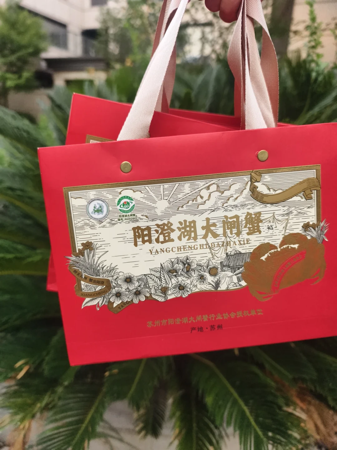 蟹卡预售又开始了：为「阳澄湖」三个字掏钱之前，先看卡背面那四行字