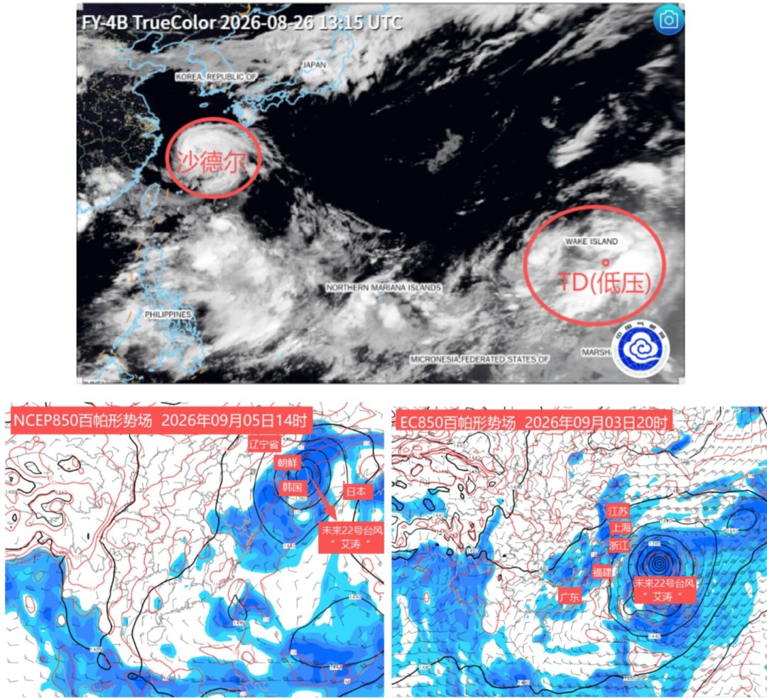 18号台风沙德尔今晚登陆,华东赴日航班批量取消:台风季去日本,先把这四层准备做了