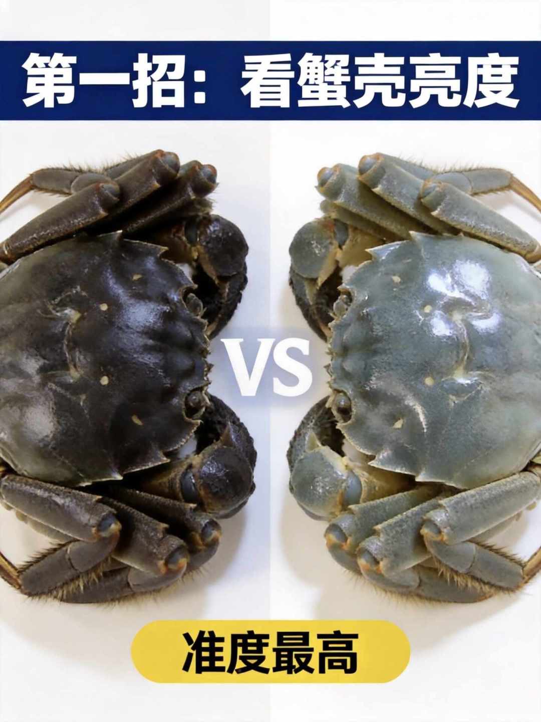 阳澄湖的蟹还有一个月才开捕,蟹券已经打到1.3折:今年中秋买蟹券,品质控到底在买什么?