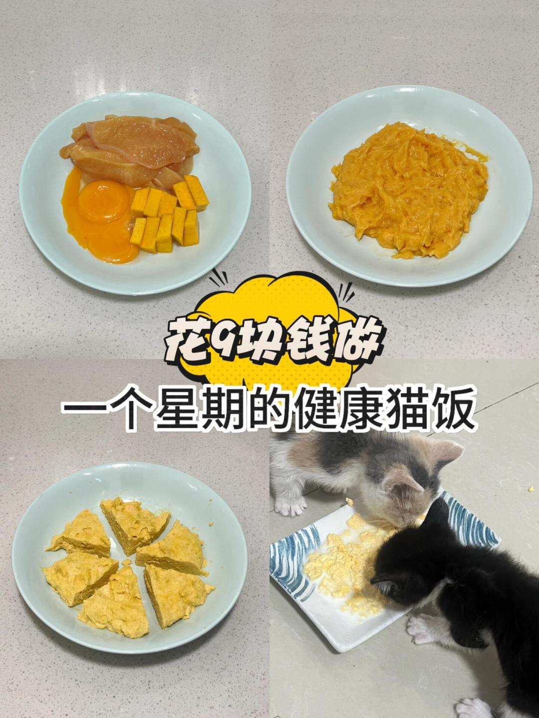 “千猫瘫痪”后想给猫做饭?动手前先看看宠物医院流传的这份“全价食谱”