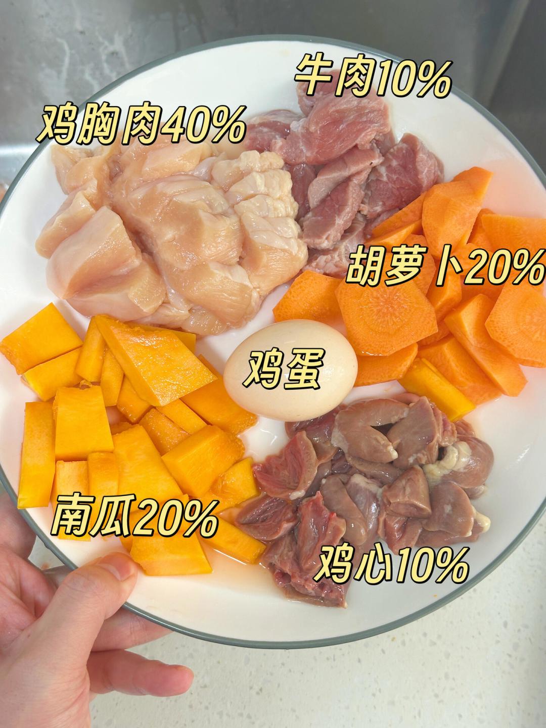 “千猫瘫痪”后想给猫做饭?动手前先看看宠物医院流传的这份“全价食谱”