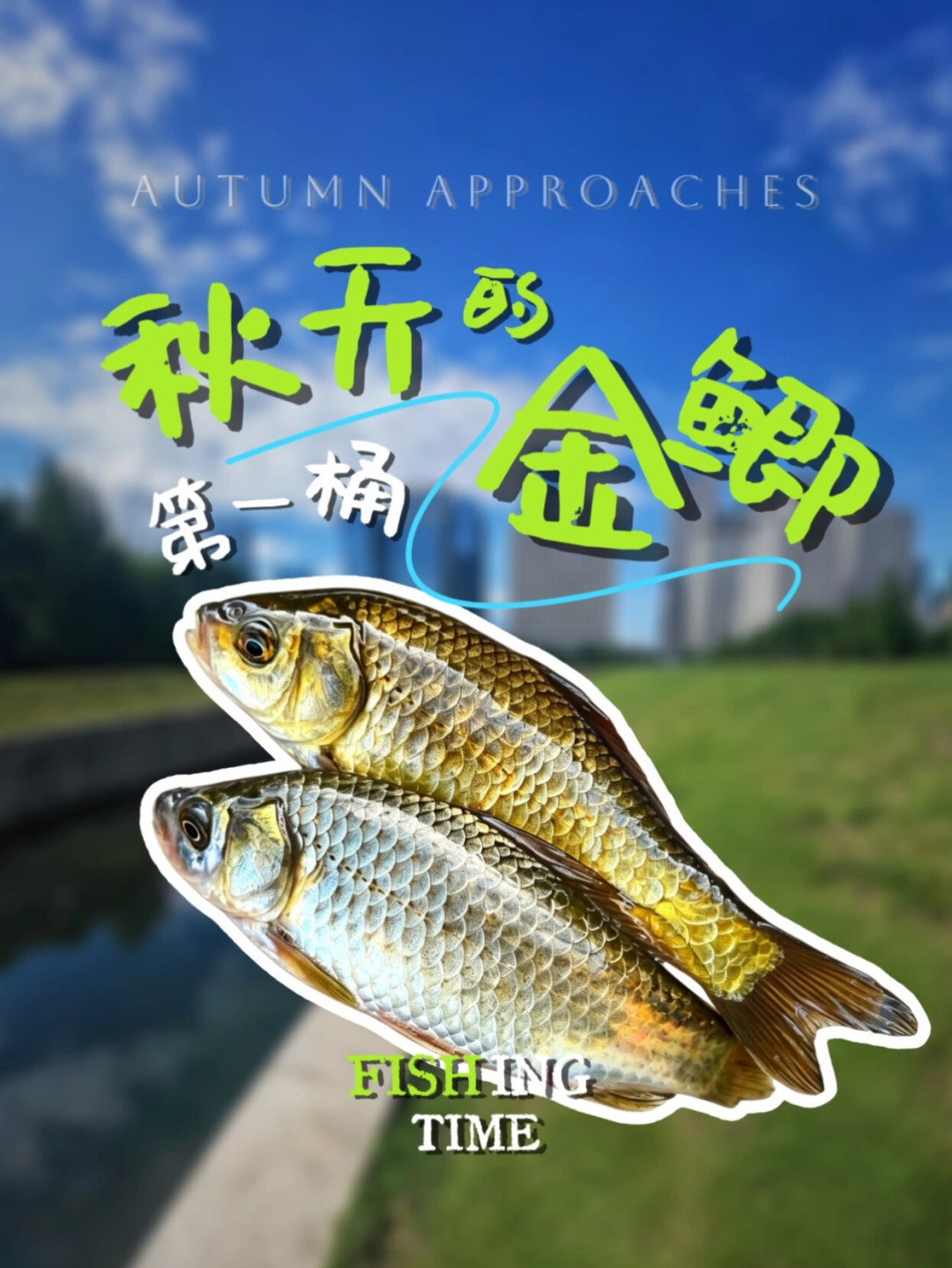 出伏了，秋钓旺季就来了？核对完全网本周鱼情：大多数人至少心急10天