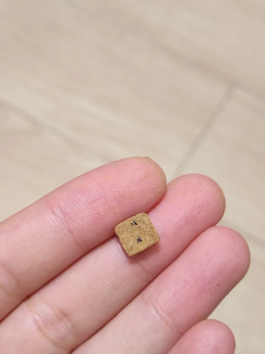 金故猫粮被130多人集体投诉,问题批次却没召回:家里还有货的,按这份清单查批次、退钱、观察猫