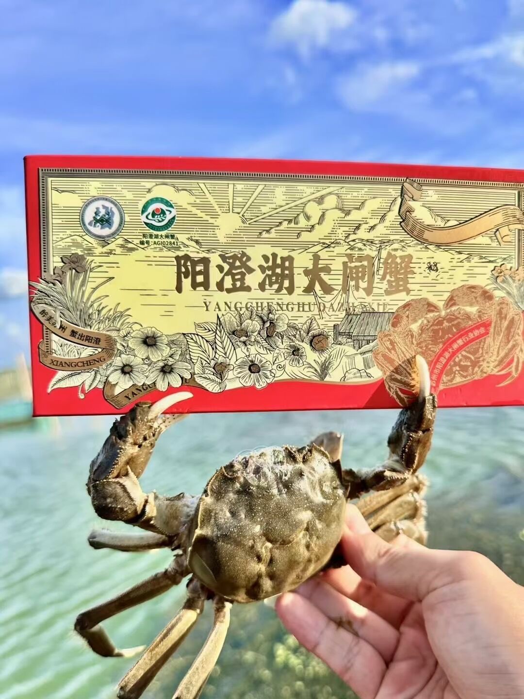 离中秋还有一个月，蟹券已经满天飞：