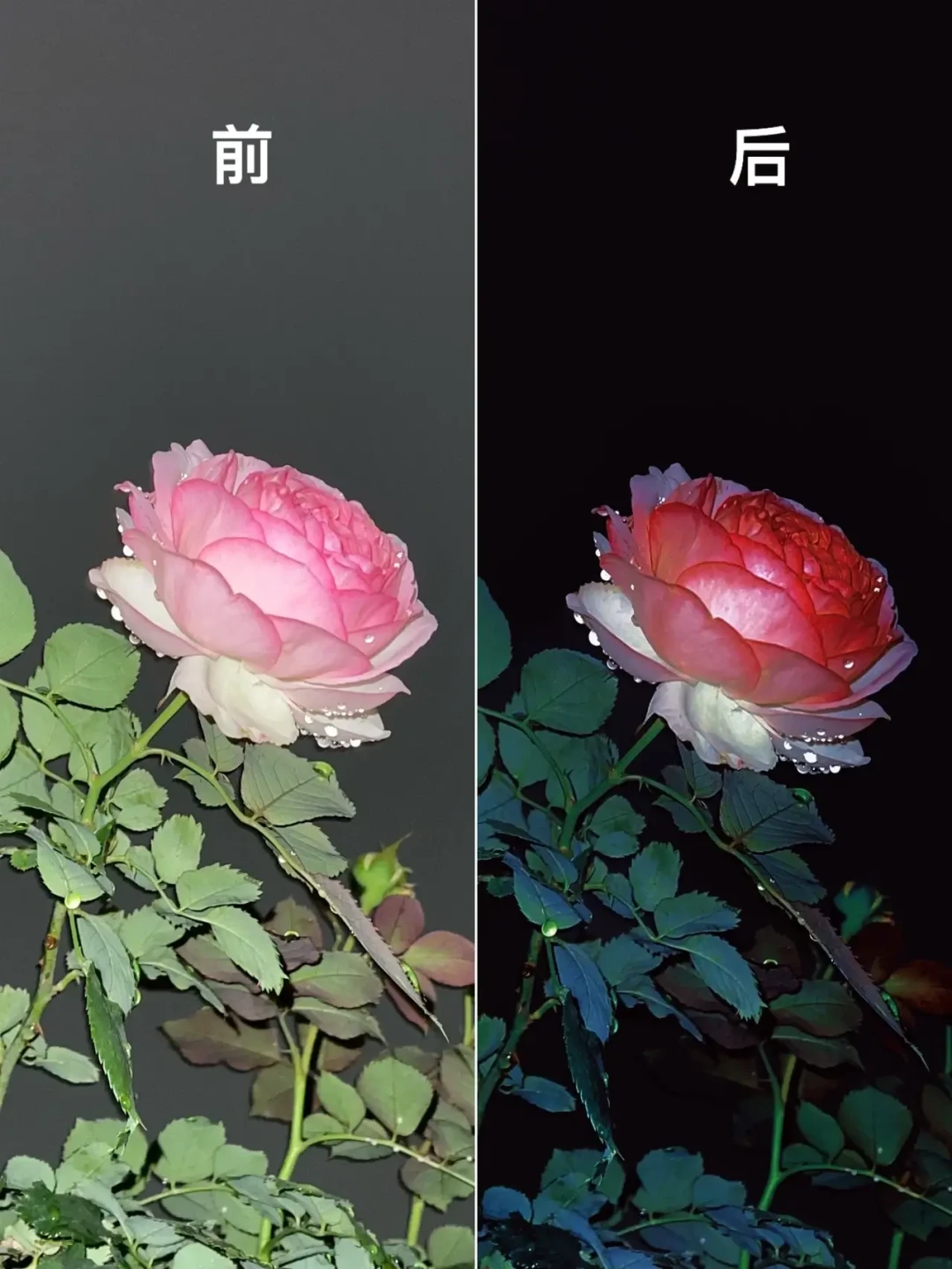 美图半年赚了6.5亿,评论区却在集体吐槽:2026年修图会员这钱到底怎么花才不亏