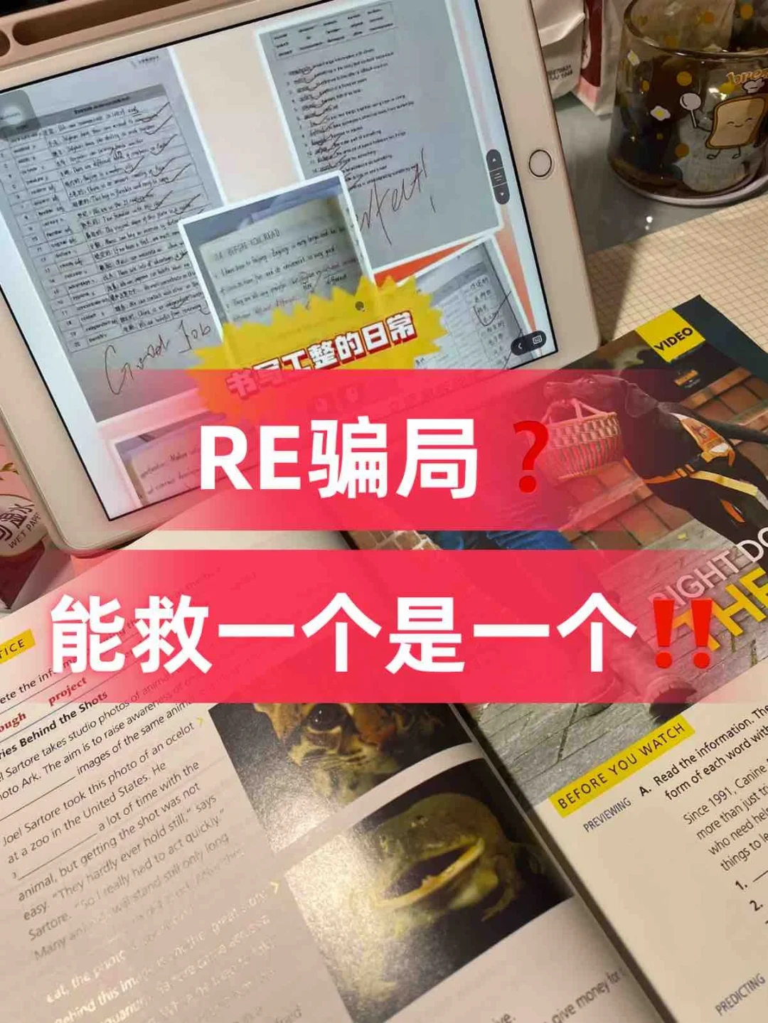 三篇「RE骗局,能救一个是一个」竟是同一套模板:开学前,把值得看的RE内容理清楚