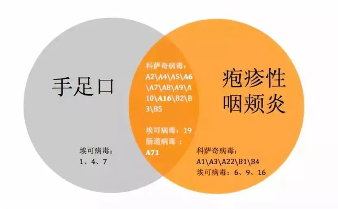 入园倒计时一周,27个娃放倒一半:手足口和疱疹性咽峡炎也有