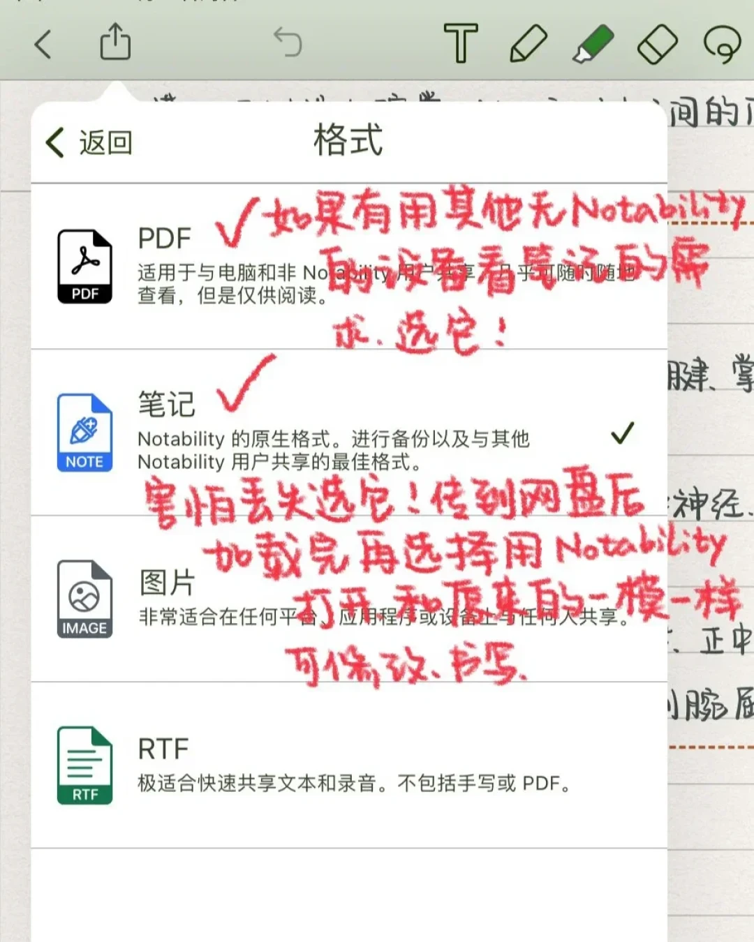 Notability 又在