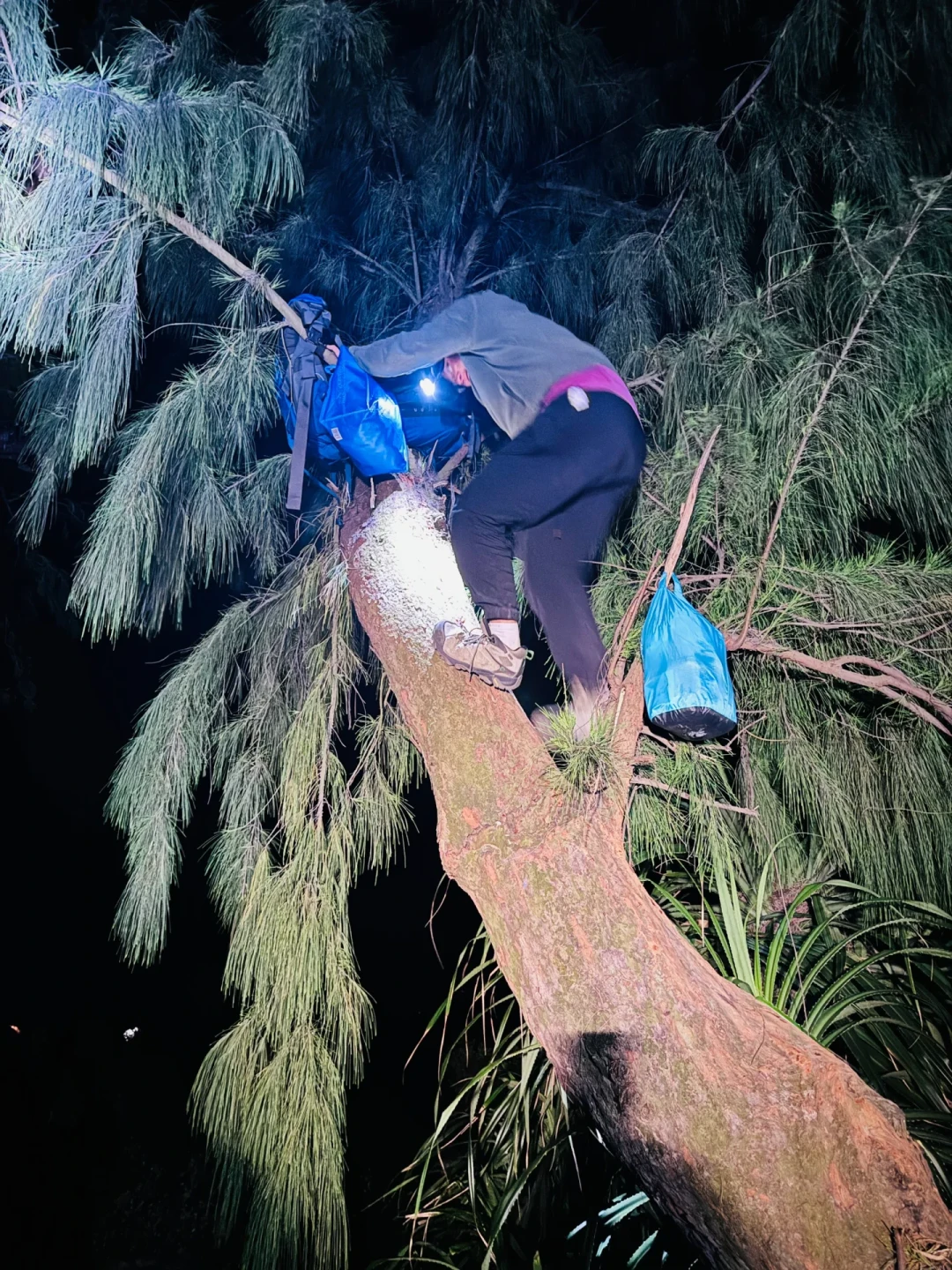 10天3起袭营，目标全是你的背包：中秋国庆去麦理浩径露营，先学
