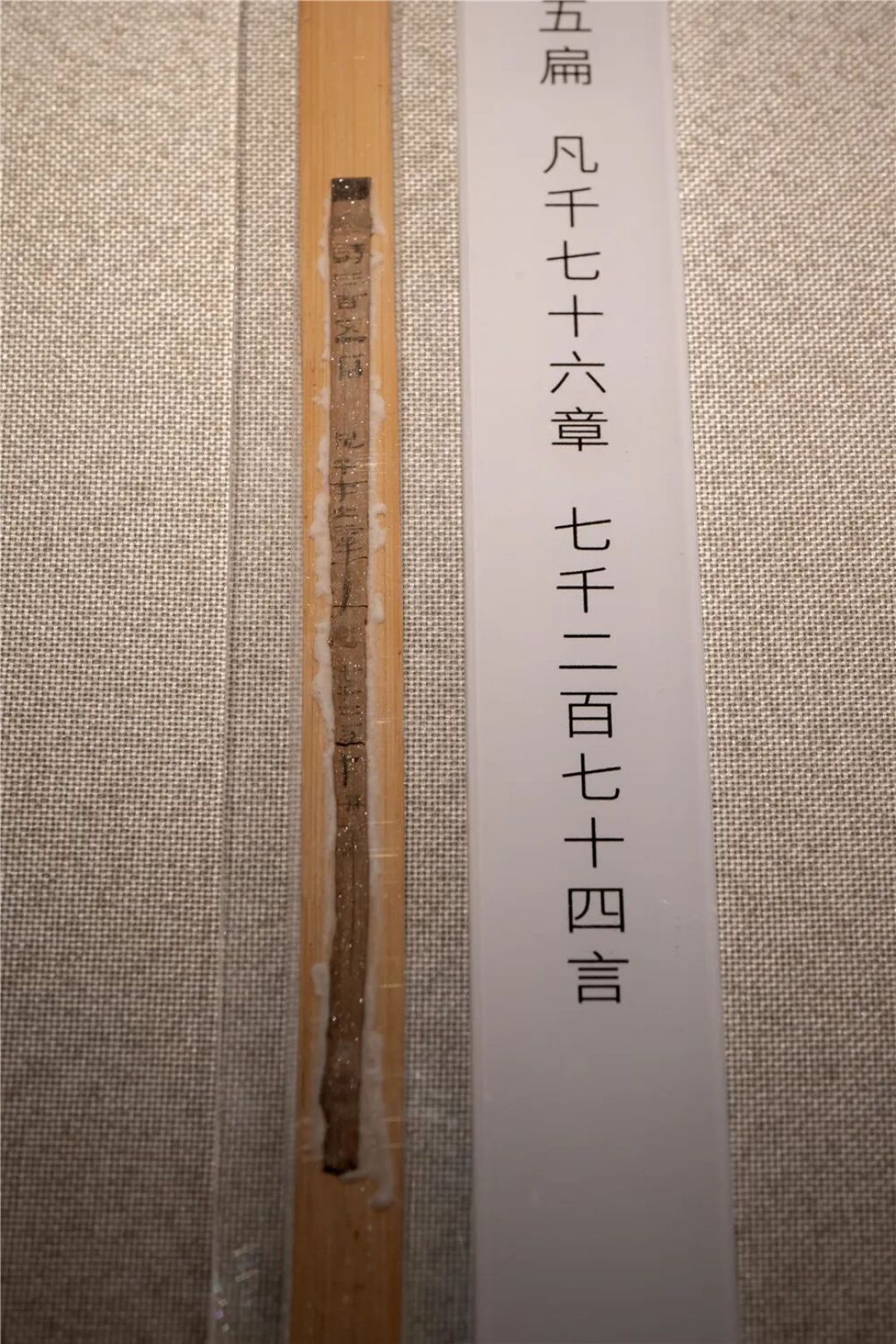 语文课本里背的《论语》,原来不是