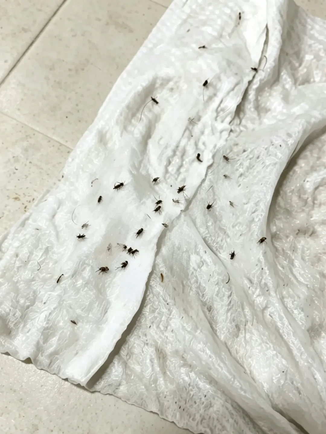卫生间明明刷得很干净,为什么还是一股臭味?翻完全网反味帖:臭味来源就5个,0元到100元分档解决