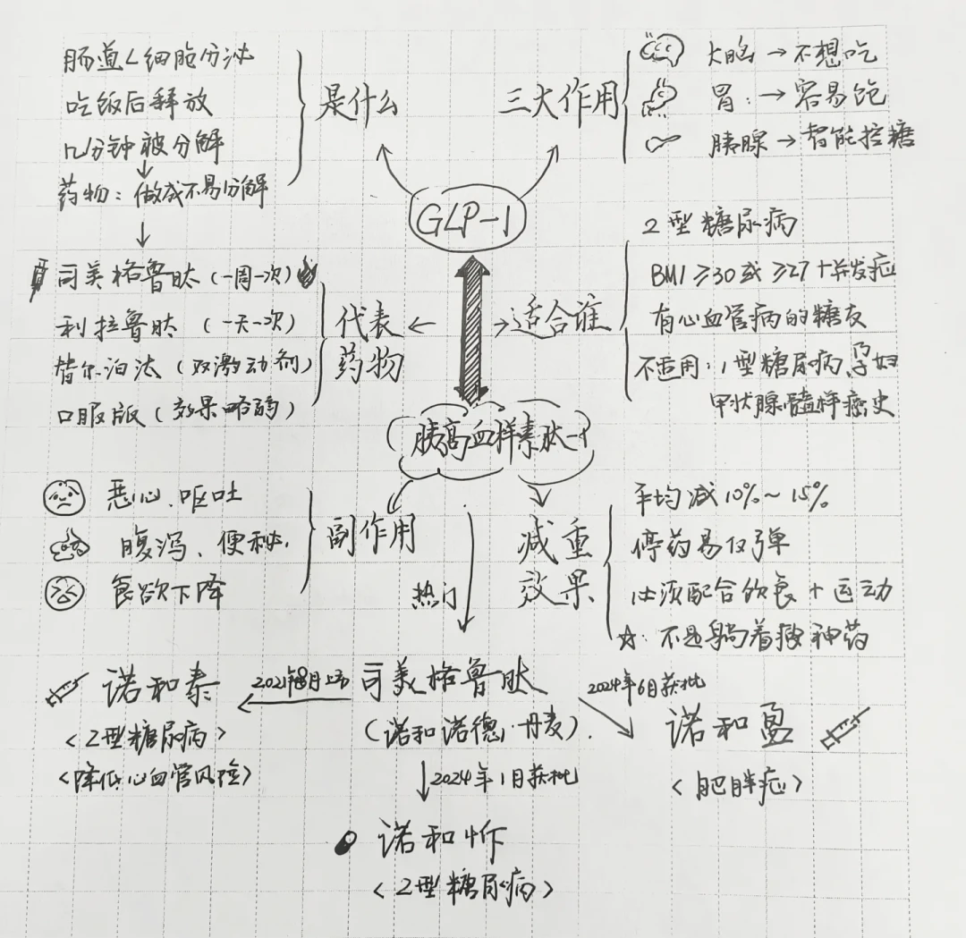 口服减重版司美格鲁肽今天申报上市:2型糖友不用羡慕,真正和你有关的好消息在9月