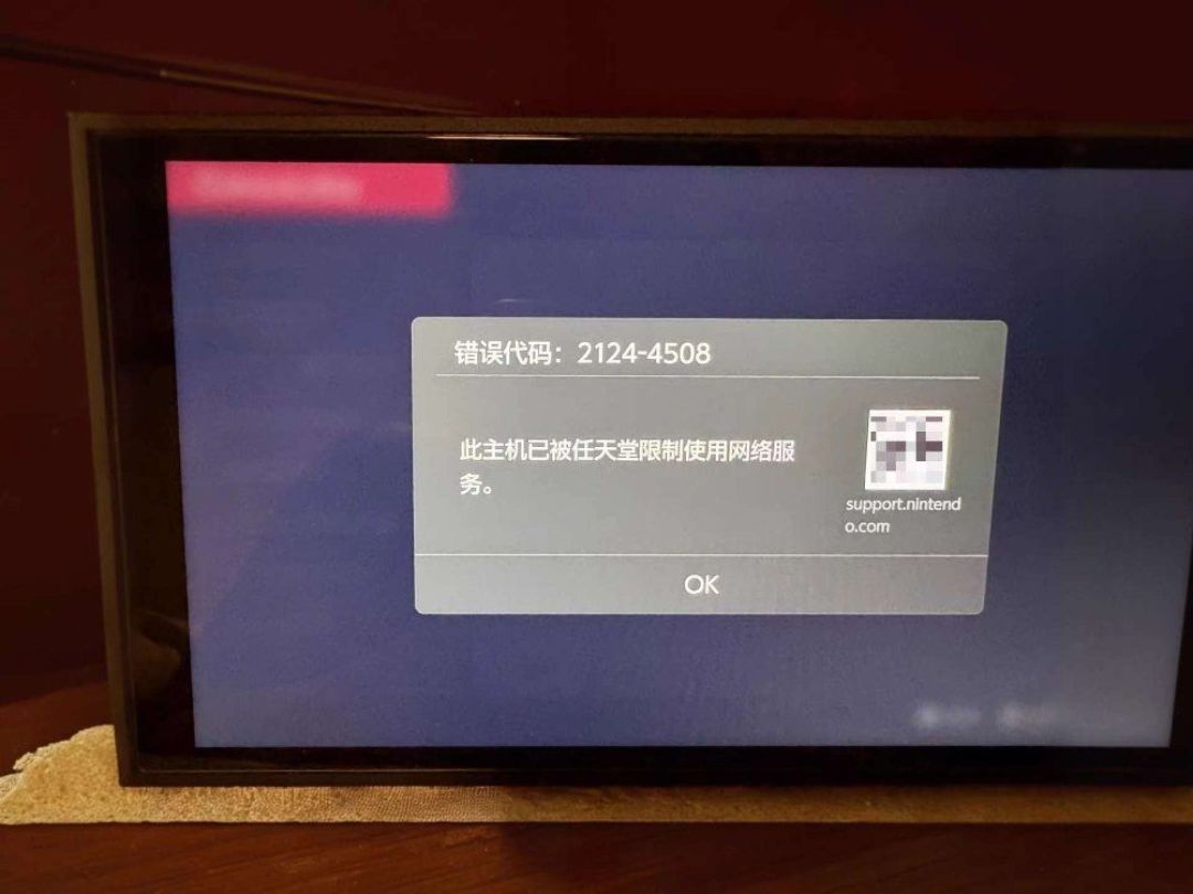 NS2烧录卡又火了: