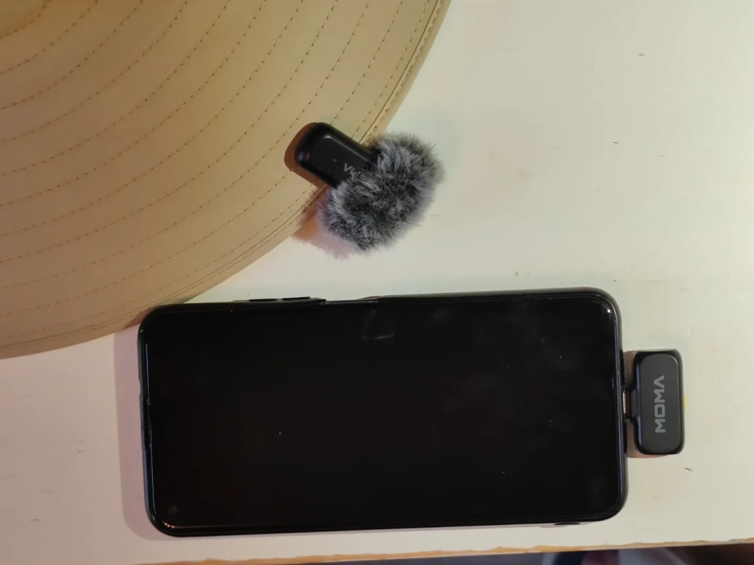 秋迁第一波鸟已经到了,最扎心的还是