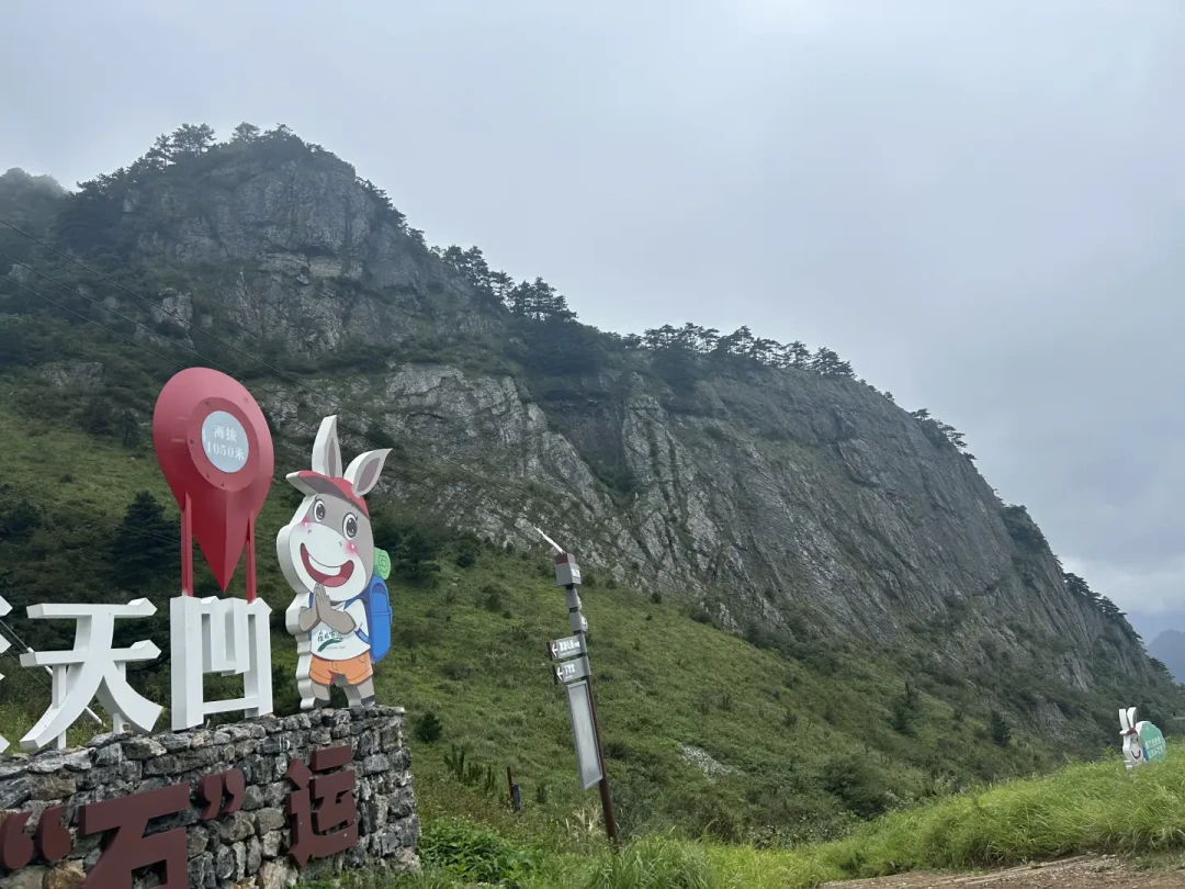 一边被骂“别来”,一边被存成经典:秋天的徽杭古道,去之前先搞懂这3个错位和3个坑