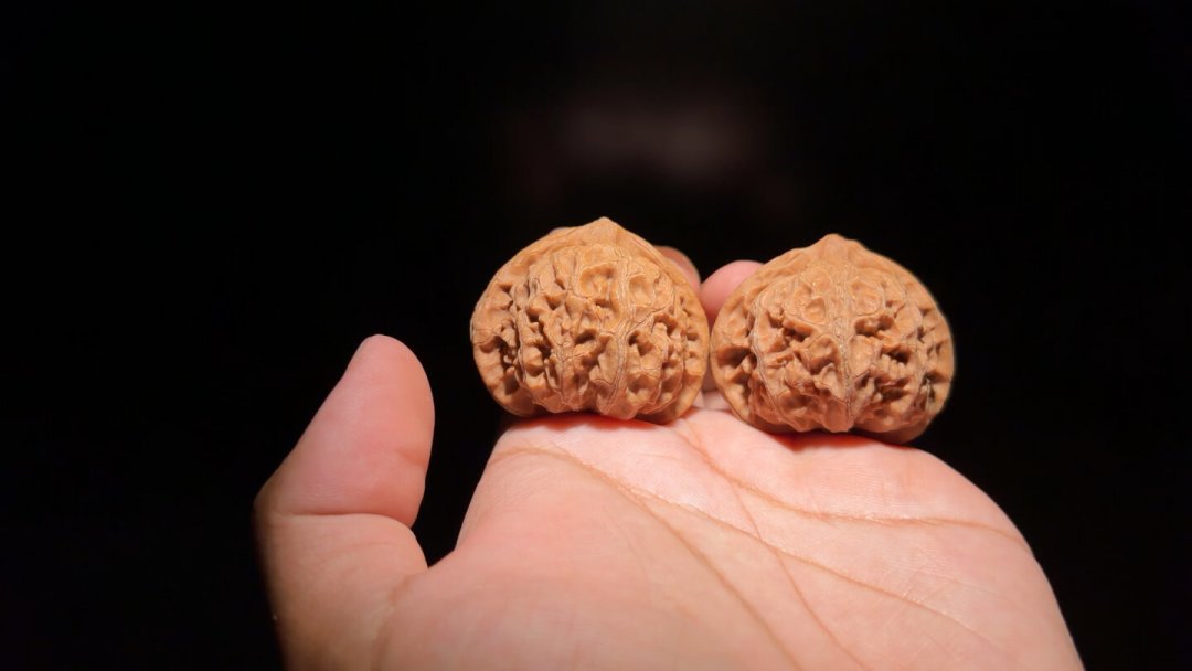 水晶皮、奶油蜡皮、“打底就红”:我数了20条下树季拍核帖,把皮质黑话翻成人话