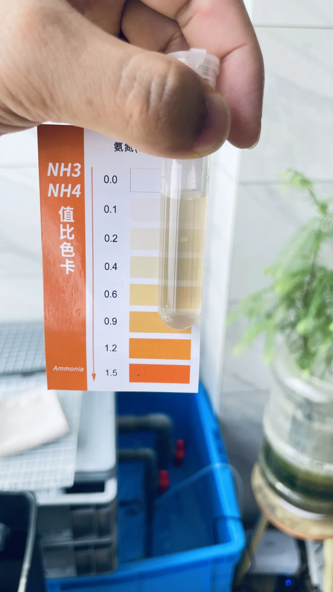 裸缸定了,水清了别急着放鱼:7天正统派、3天邪修派和硝化细菌智商税,翻完全网吵帖捋出一张决策表