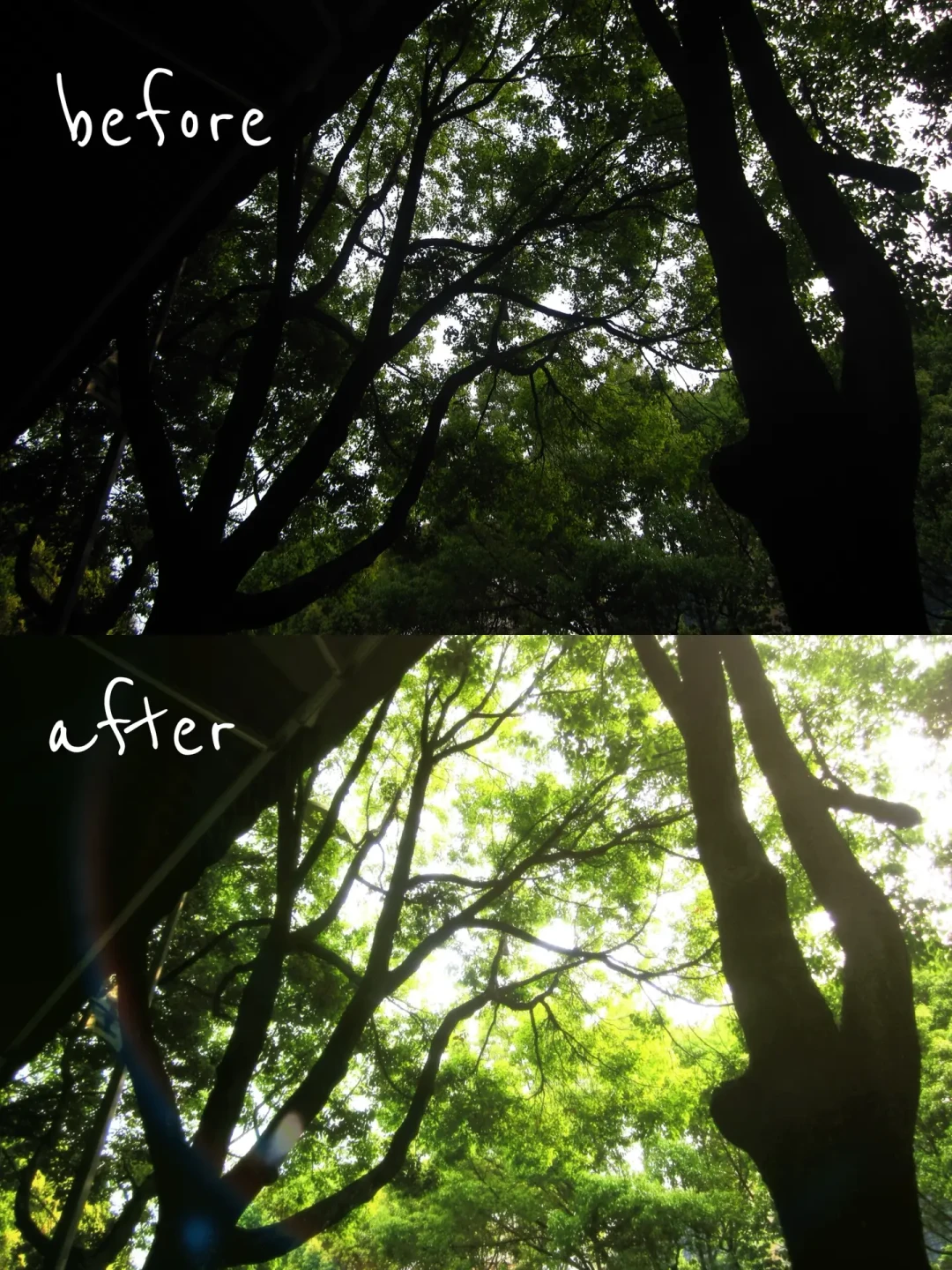 Lightroom Classic 更新到 15.5:Adobe 把 Firefly 塞进 LR,4 项新功能有 2 项真戳痛点
