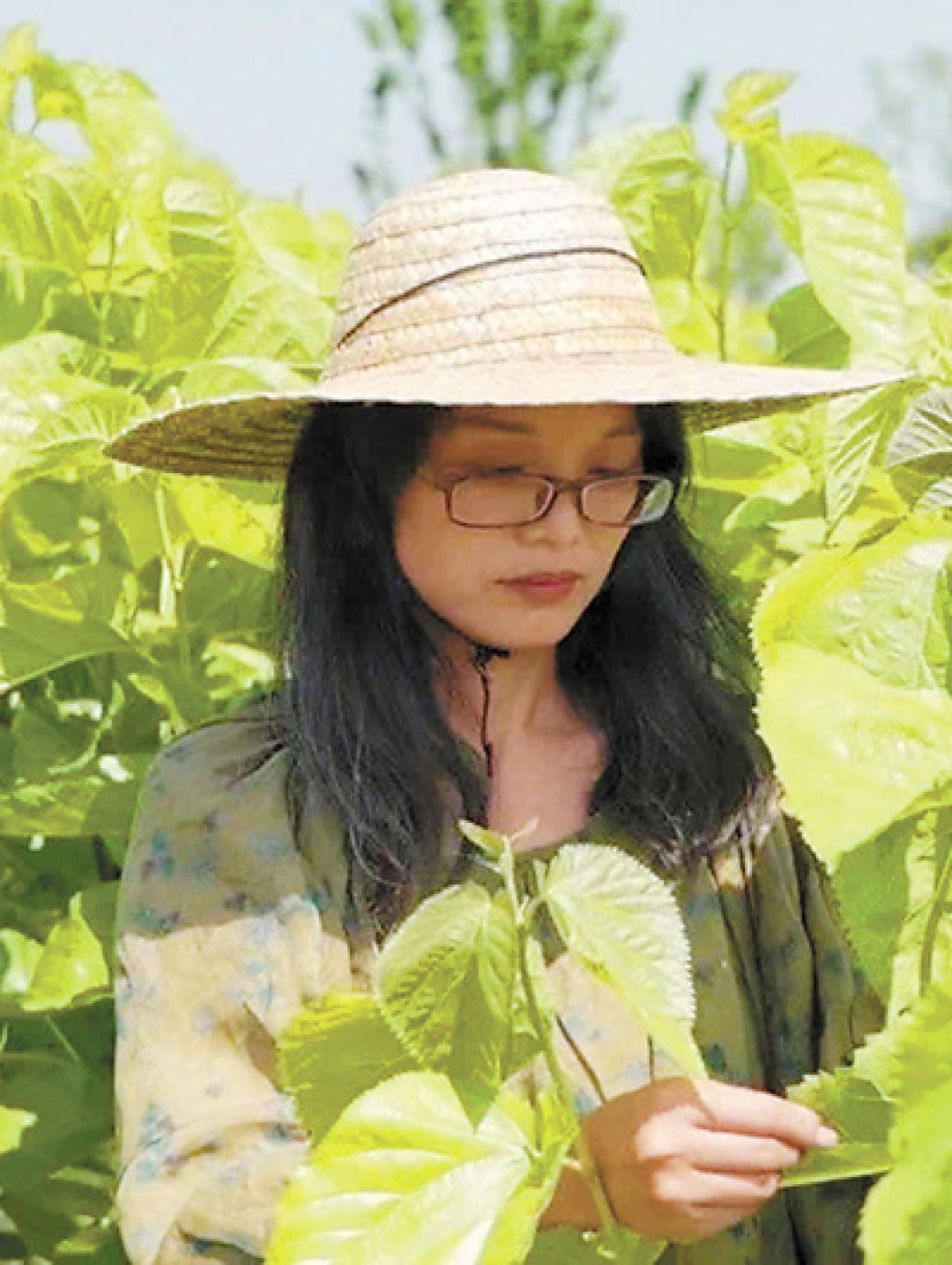 小红书19万赞的手工蚕丝被刷屏,但蚕丝含量过半就能叫“蚕丝被”:掏钱前先算清这三笔账