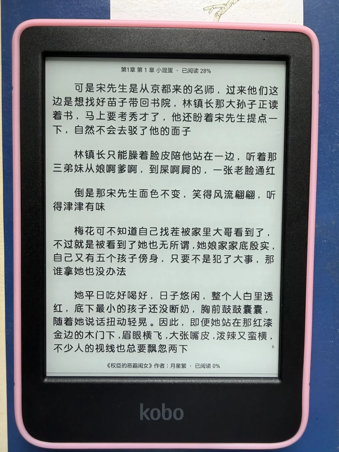 Kobo 被抢疯了,但我先泼盆冷水:全国没有一家官方店,坏了还没处修