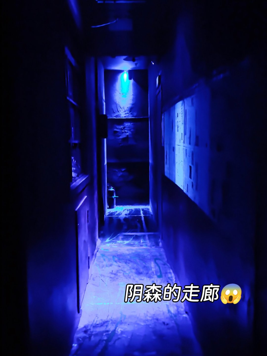 《密室大逃脱8》带新人入坑,但密室的恐怖等级不写在票面上:胆小党付费前的5个问题和一条低成本进阶路线
