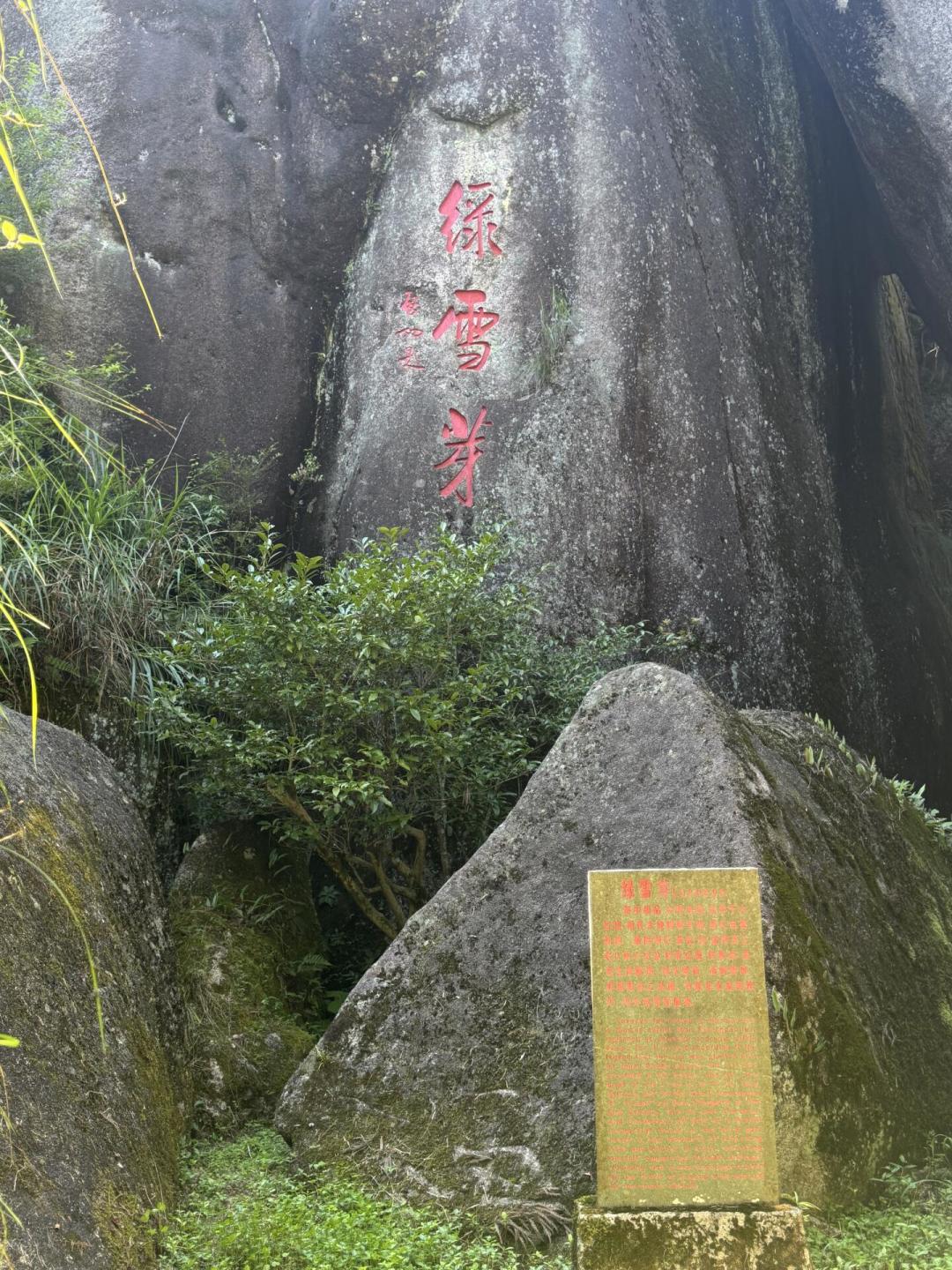 老白茶不是越老越好：绿雪芽发布风土白皮书后，我把年份茶选购和中秋茶礼的门道整理出来了