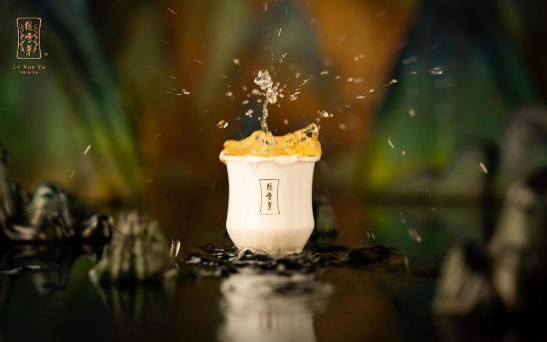 老白茶不是越老越好：绿雪芽发布风土白皮书后，我把年份茶选购和中秋茶礼的门道整理出来了