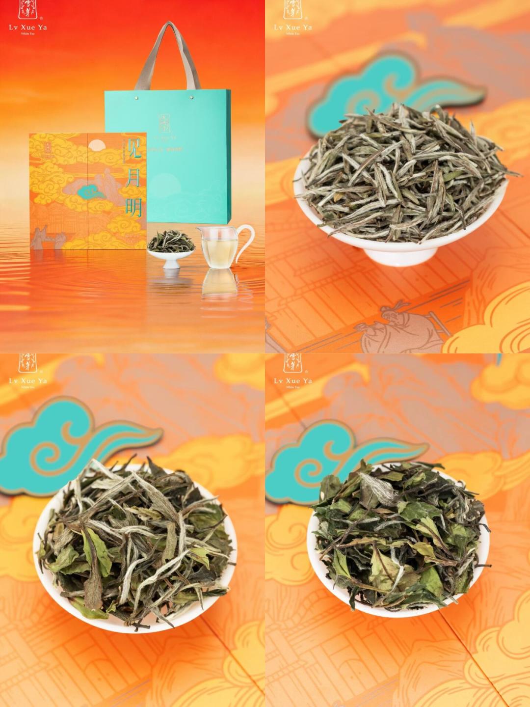 老白茶不是越老越好：绿雪芽发布风土白皮书后，我把年份茶选购和中秋茶礼的门道整理出来了