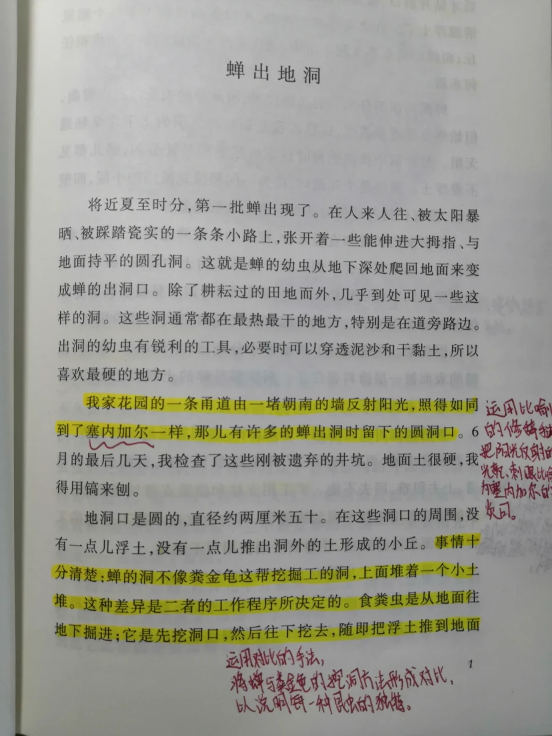 《昆虫记》八上考还是八下考？新教材全面落地，定位定了，读法也变了