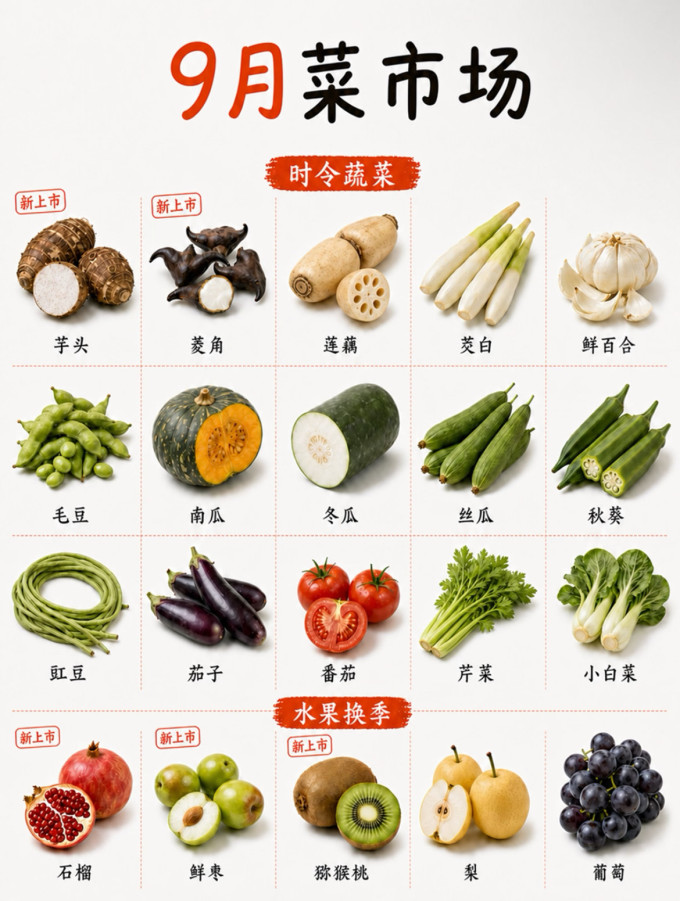 蔬菜