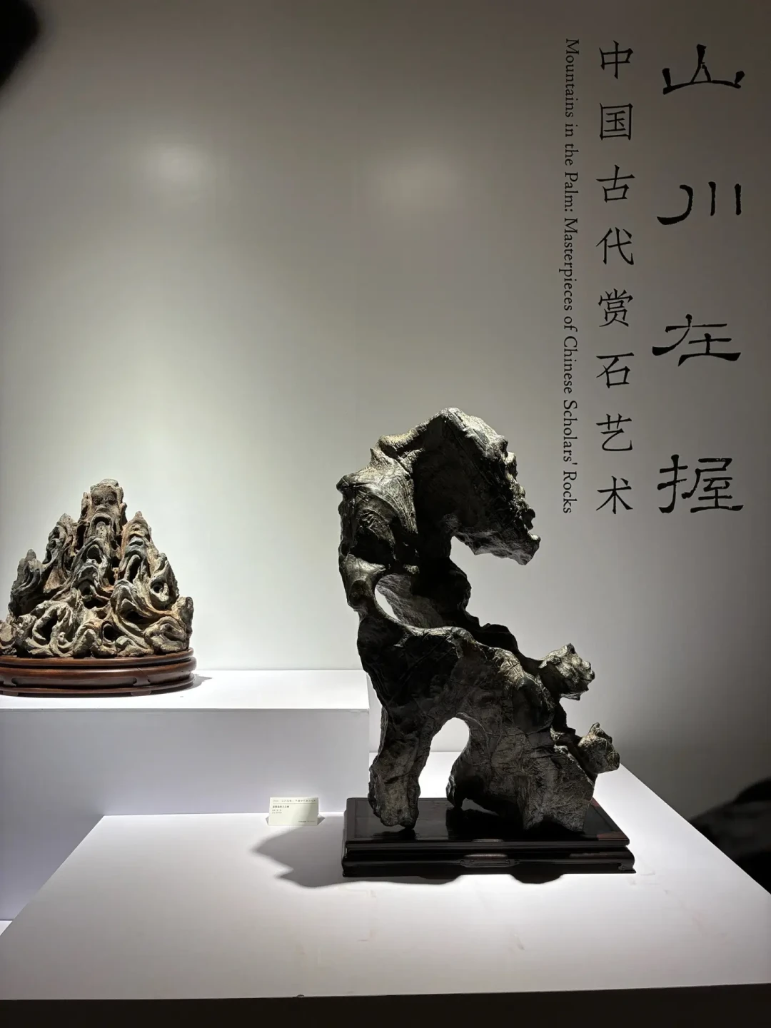 嘉德给
